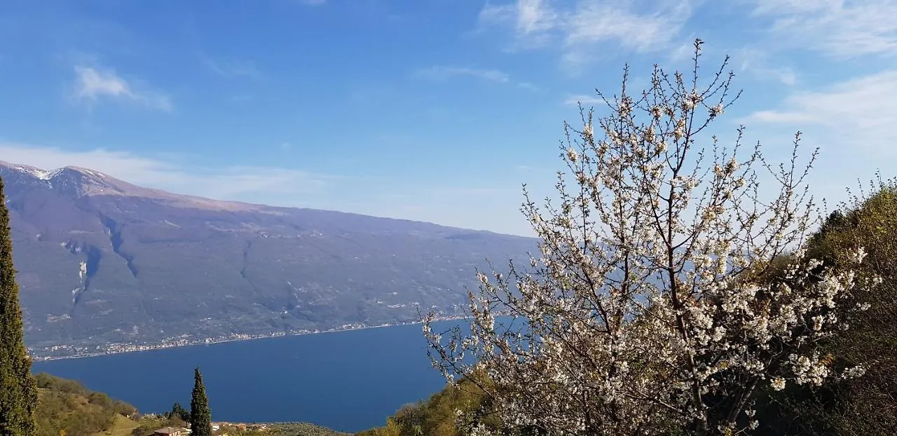 Italy Bungalow Gardalake Tignale. Sunclass 0*, Tignale Ιταλία